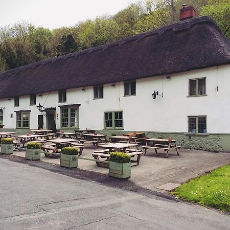 Hotel Hambro Arms Milton Abbas Exteriér fotografie