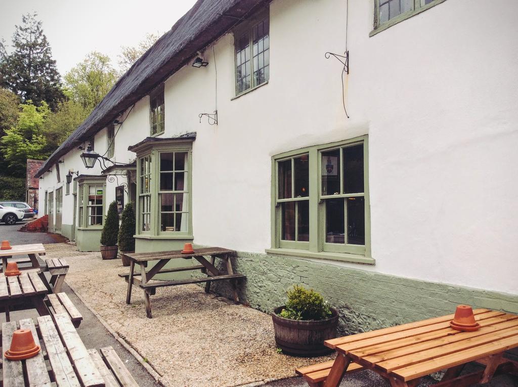 Hotel Hambro Arms Milton Abbas Exteriér fotografie