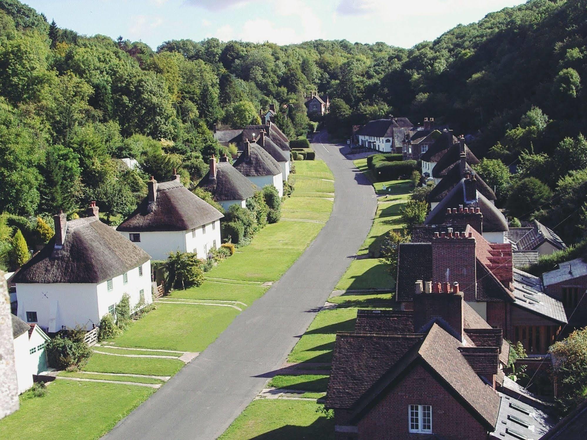 Hotel Hambro Arms Milton Abbas Exteriér fotografie
