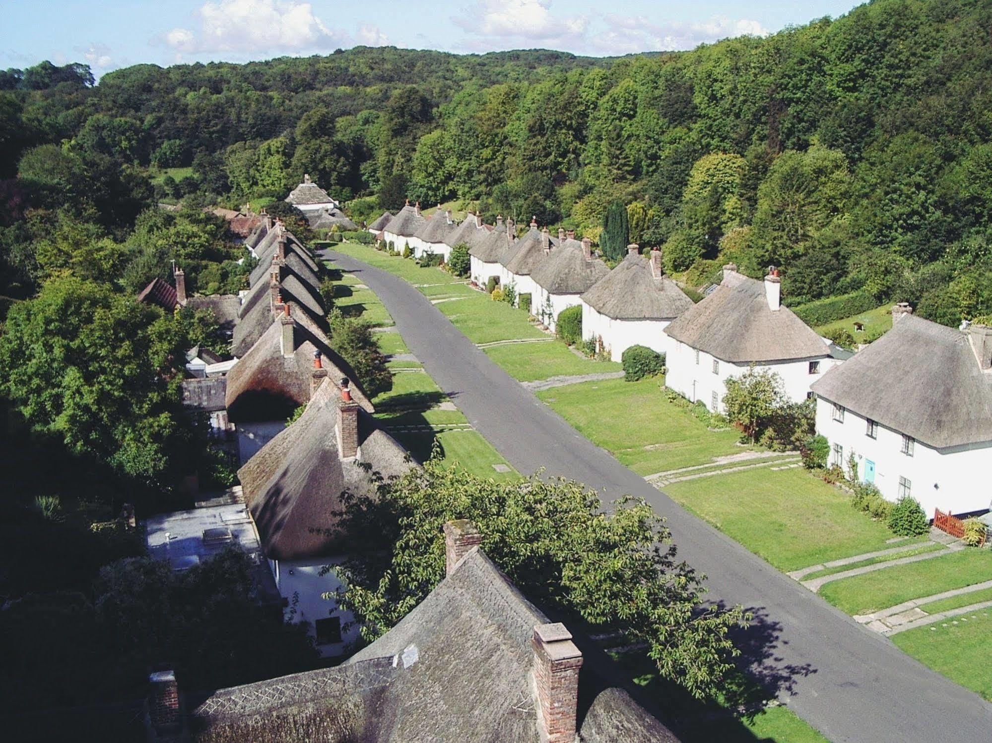 Hotel Hambro Arms Milton Abbas Exteriér fotografie